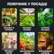 Тестер 6 в 1 почвы ST03 измеритель для садоводства Портативный 116545 фото 2