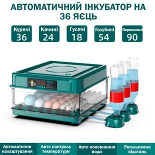 Инкубатор автоматический на 36 яиц (220/12в) NeoNest с роликовым переворотным механизмом для инкубирования яиц разных птиц 117382 фото